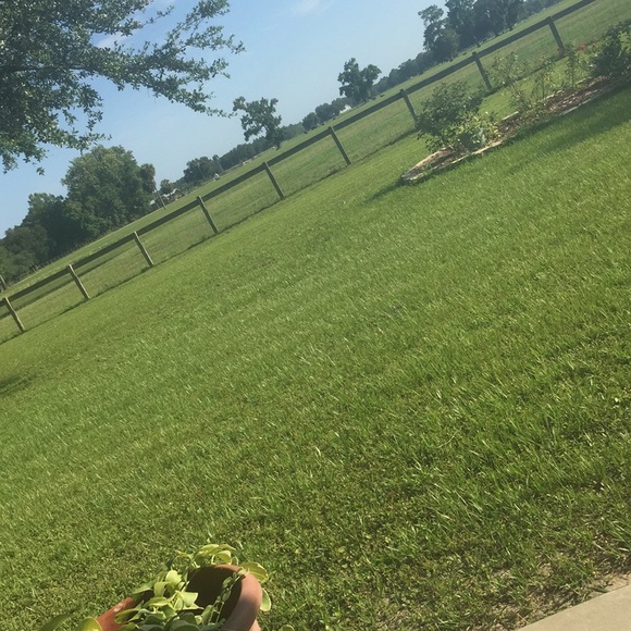 Meet your Posher, James - Picture 1 of 1